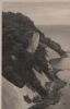 Binz - Rügen - Kolliker Berg - ca. 1955