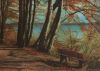 Bank am Waldweg am Wasser - ca. 1980