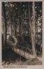 Scharbeutz - In der Kammer - ca. 1955