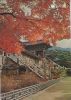 Gyeongju - Bulgug Temple - 1981