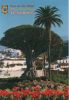 Spanien - Teneriffa - Drachenbaum - 2005