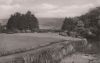 Bad Pyrmont - Ententeich - 1960
