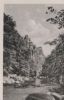 Thale - Bodetal mit Waldkater - ca. 1965