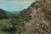 Spanien - Las Palmas - Valle de Agaete - 1976