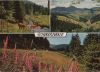 Schwarzwald - mit 3 Bildern - 1981