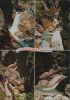 Österreich - Wörschach - Wilde Klamm - ca. 1980