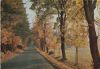 Bischofsgrün - Fichtelgebirge - Weg zur Luisenburg - 1967