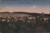 Wiesbaden - Nerotal - 1920