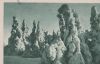 Altenberg - Gruß aus Zinnwald Erzgebirge - 1931