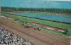 USA - Hialeah - Race course - ca. 1970