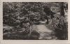 Waldweg mit Ruhebank
