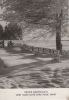 Frohe Weihnacht Schnee in der Landschaft