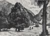 Baum im Tal