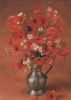 Mohn in Kanne