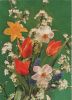 Blumen Strauß