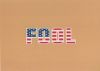 Fool Amerika