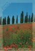 Toscana - Italien - Natura
