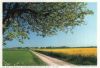 Skane - Schweden - bei Smygehamn