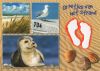 Niederlande - Niederlande - Grüße vom Strand