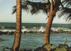 Barbados - Barbados - Brandung