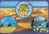 Vorschaubild: Gran Canaria - Spanien - 4 Bilder Gran Canaria - Spanien - 4 Bilder