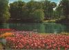 Holland - Niederlande - Blumenland