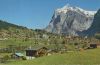 Grindelwald - Schweiz - Wetterhorn