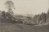 unbekannter Ort - Landschaft mit Wald