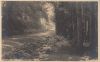 Vorschaubild: Tharandter Wald - Dorfhaitzerweg Tharandter Wald - Dorfhaitzerweg