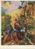 Math. Grünewald - Stuppacher Madonna
