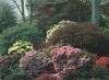Brinnon - USA - Whitney Gardens