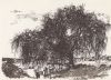 Eggenstein-Leopoldshafen - Weide am Bachkanal