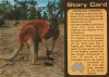 Australien (Sonstiges) - Australien - Känguru, Story Card