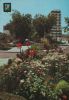 Vorschaubild: Spanien - Torre del Mar - Paseo de Larios - 1975 Spanien - Torre del Mar - Paseo de Larios - 1975