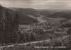 Ilmenau-Manebach - Blick vom Goethepfad - 1969