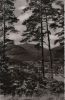 Bad Herrenalb - Blick von der Rotensoler Straße - 1959