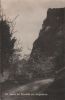 Schweiz - Kehrsiten - Partie mit Bürgenstock - ca. 1930