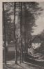 Bad Schandau - Sächs. Schweiz - Liethenmühle - 1952