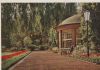 Bad Salzuflen - An der Wandelhalle - ca. 1955