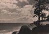 Vorschaubild: Usedom - Hochufer - 1962 Usedom - Hochufer - 1962