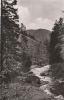 Altenau - Okertal im Harz - ca. 1955