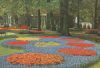 Niederlande - Keukenhof - Lisse-Holland - ca. 1975