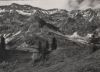 Österreich - Scesaplana, Schesaplana - Hütte und Gipfel - ca. 1955