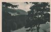 Altenau - Harz - Das Haus am Berge - ca. 1955