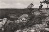 Luxemburg - Berdorf - Vue prise de la Ile du Diable - ca. 1960