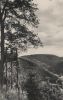 Braunlage - Blick vom Lampertsberg ins Kunzenbachtal - 1953