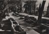Frankreich - Arles - Les alyscamps allee des Tombeaux - ca. 1965