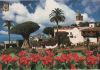 Vorschaubild: Spanien - Teneriffa - Tausendjähriger Drachenbaum - 2002 Spanien - Teneriffa - Tausendjähriger Drachenbaum - 2002