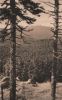 Schierke - Harz - Blick zum Brocken - 1961