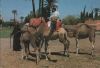 Marokko - Sonstiges - Destination Sahara - 1992